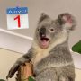 �� �� ������, ������ 1-� ������� � ���� ������