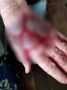 Подняли руку за дом: пенсионерку избили из-за доли в недвижимости в Приморье