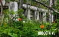 Доброе утро, Владивосток. Утром туман