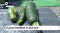 ����� ����� �������� � ������������ ������ �����������