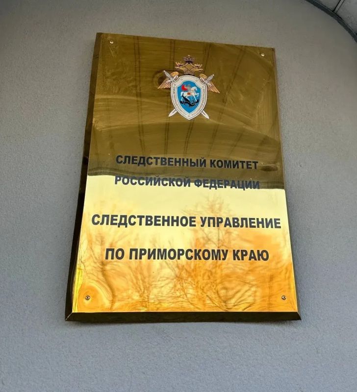 В Приморском крае расследуется уголовное дело по факту угрозы убийством пожилой женщине
