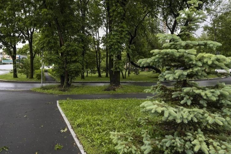 Владивостокцы могут предложить идеи по благоустройству избранных скверов