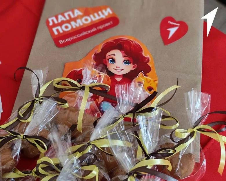 «Лапа помощи»: школьники Кавалерово поддержали бездомных животных «Лапа помощи»: школьники Кавалерово поддержали бездомных животных