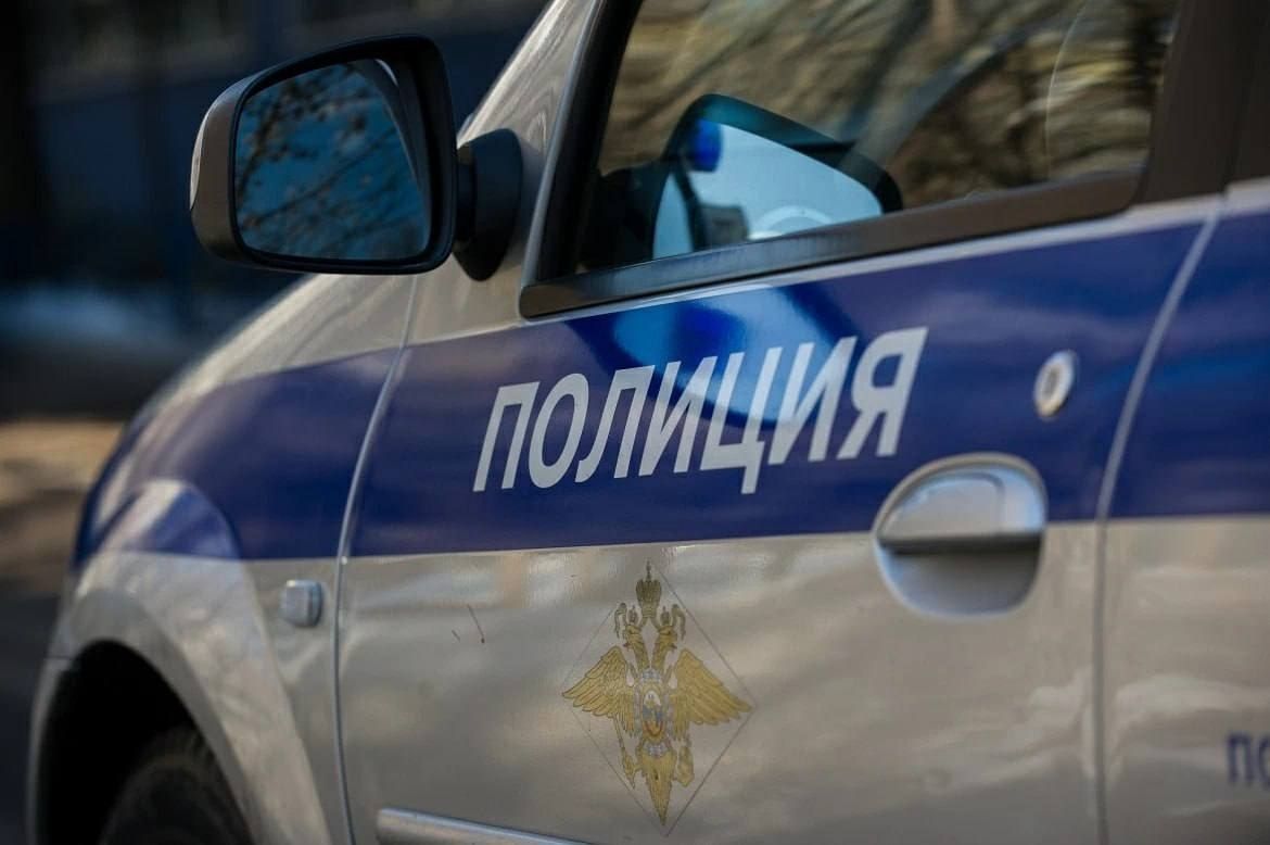 В Дальнереченске возбудили уголовное дело за добычу шкуры амурского тигра