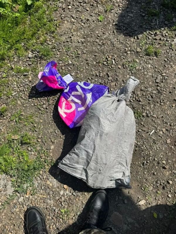 В Приморье сотрудники полиции изъяли у жителя села Новоникольск 51 куст культивированной конопли В Приморье сотрудники полиции изъяли у жителя села Новоникольск 51 куст культивированной конопли