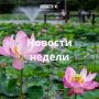Материалы недели от Новостей VL, которые вы могли пропустить: