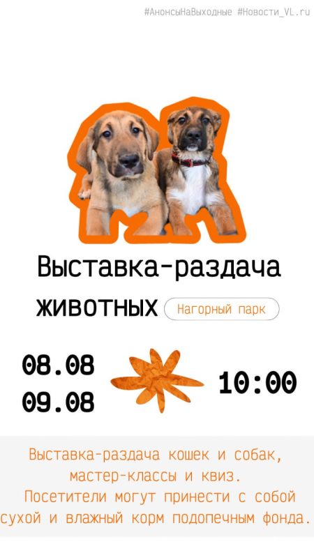 Анонсы событий во Владивостоке на выходные Анонсы событий во Владивостоке на выходные