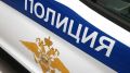 Полиция проводит проверку по факту инцидента в Шкотовском округе Приморья