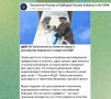 ПОСОЛЬСТВО РОССИИ В КНДР СЛЕДИТ ЗА ТВОРЧЕСКИМ ПРОЦЕССОМ СОЗДАНИЯ МУРАЛА НА ЗОЛОТОМ МОСТУ ВО ВЛАДИВОСТОКЕ Посольство РФ в Корейской Народно-Демократической Республике публикует на своих каналах сообщения из Владивостока о...