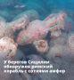 У берегов Мадзара-дель-Валло на Сицилии обнаружен римский корабль, на дне – сотни амфор