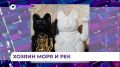 �� ������������ ����������� ����� ���������-���������������� ������ �������