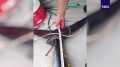 ����� ������ 212 ����������� ������� � ������ ����� ��������, ����� ���������� ������, �������� � �����-������ ����������������� ��������� ����������� ������ ��������