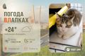 #ПогодаВЛапках. Небольшая облачность