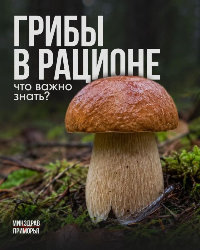 Грибы богаты витаминами и минералами, но при неправильном приготовлении могут быть опасны