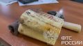 В читинском пункте пропуска Забайкальск сотрудники таможни обнаружили у пассажиров, следующих на автобусе в Маньчжурию, фрагменты бивней
