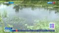 Большая вода больше не страшна жителям Лесозаводска