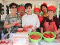 Черниговка вновь стала томатной столицей Приморья