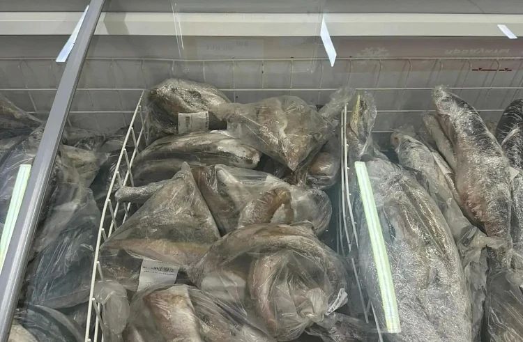 Жители Приморья за две недели купили 2,2 тонны свежего минтая по программе «Приморская рыба»
