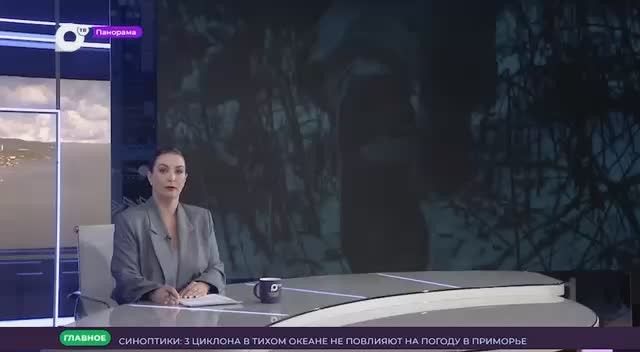 В Приморье состоится специальный показ фильма «Приграничье»