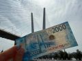 За год число самозанятых в Приморье выросло на 14 тыс