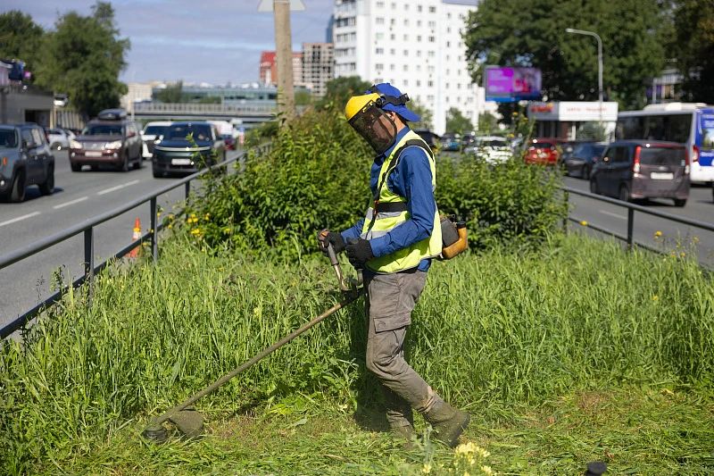 Во Владивостоке продолжается покос травы — на этой неделе работы пройдут более чем на 30 улицах