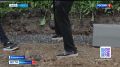 Во Владивостоке продолжается обновление стадиона Строитель