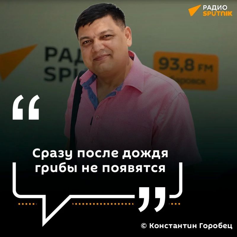Где искать грибы в лесах Приморья?