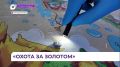 В Дальнегорске прогулка обернулась для мальчика госпитализацией в хирургию