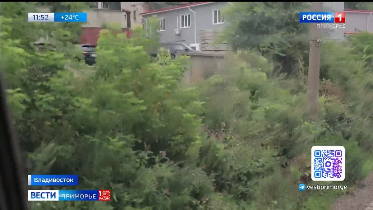 Во Владивостоке приведут в порядок территорию вдоль железной дороги