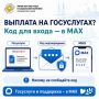 Оформляете выплату на Госуслугах? Код для входа можно получать в MAX