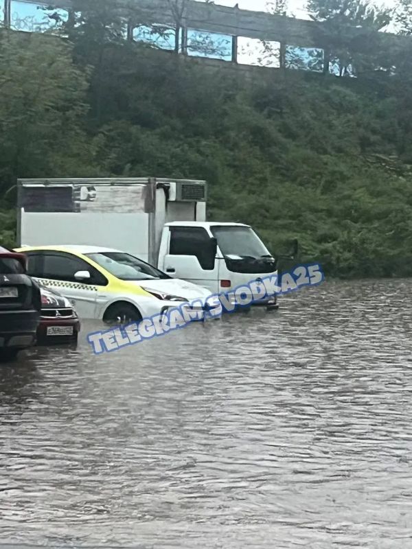 Несколько дорог затопило в Приморье Несколько дорог затопило в Приморье