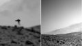 �� ����� �������� "������": �������� ������ ����� �� ������� NASA
