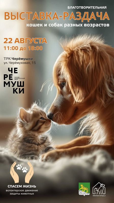 УЖЕ В ЭТУ СУББОТУ во Владивостоке пройдет благотворительная выставка-раздача животных