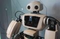 С конца 2025 года число малых технологических компаний в Приморском крае выросло на 27% и достигло 47. На край приходится почти половина всех МТК Дальнего Востока.