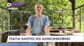 Мастера из Анисимовки стали радовать детвору игрушками
