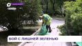 Почти 300 гектаров травы выкосили во Владивостоке с начала сезона