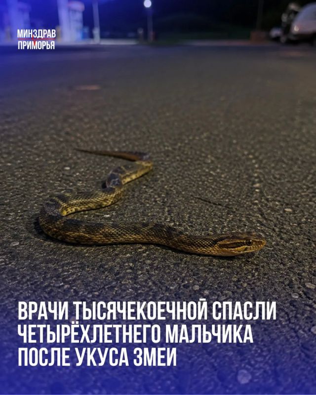 Семья из Большого Камня возвращалась с отдыха на море и остановилась на заправке