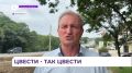 Сиреневая аллея в скором времени появится в Фокино