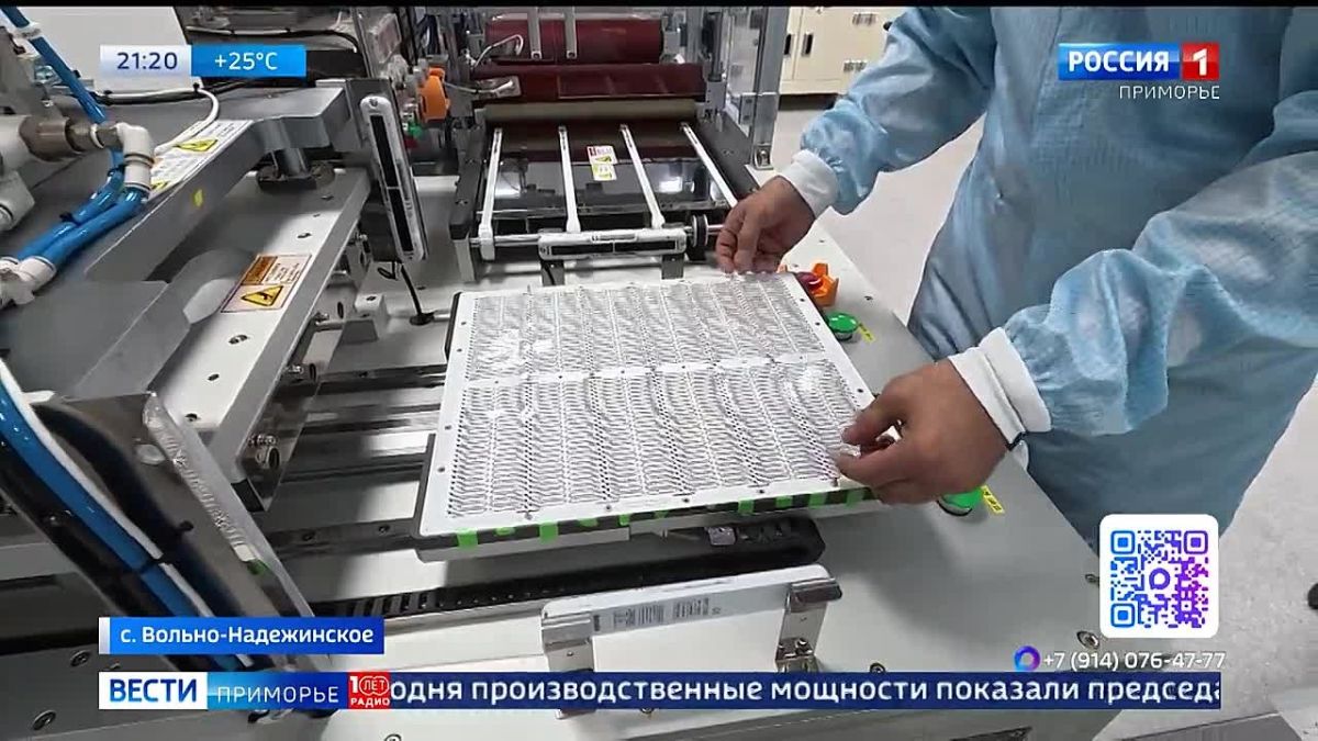 Успешно перенести редкий корейский бизнес в Приморье, минуя санкции, преобразовав его в исключительно российский