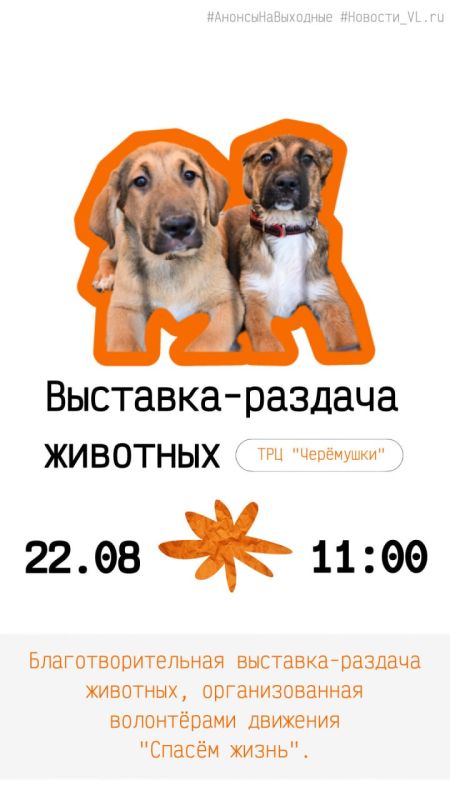 Анонсы событий во Владивостоке на выходные Анонсы событий во Владивостоке на выходные