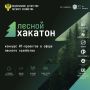 Открыт прием заявок на участие в Лесном хакатоне