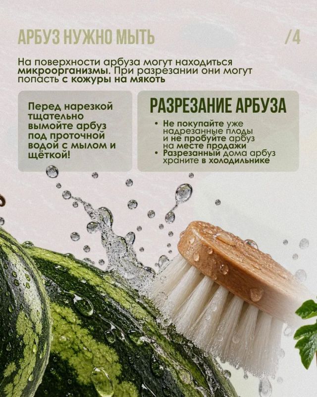 Арбузная эйфория: дозируем удовольствие Арбузная эйфория: дозируем удовольствие