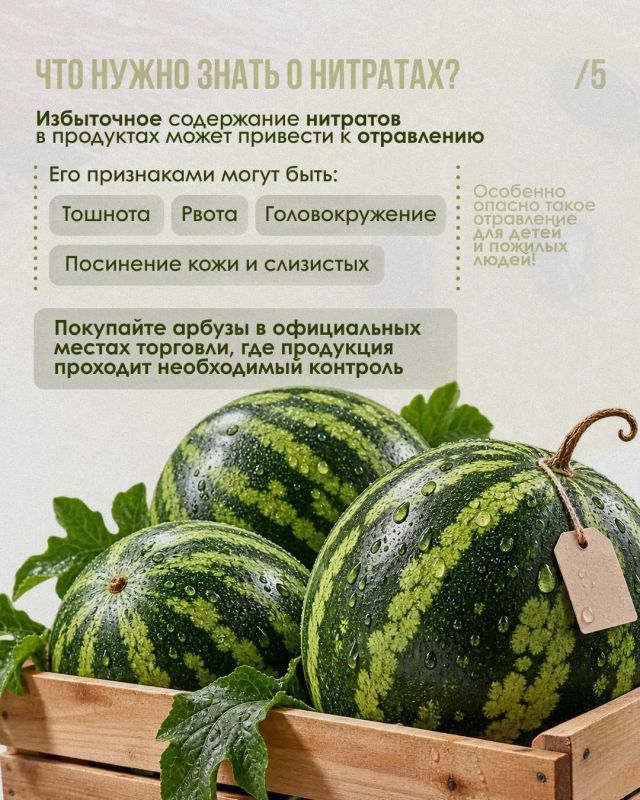 Арбузная эйфория: дозируем удовольствие Арбузная эйфория: дозируем удовольствие