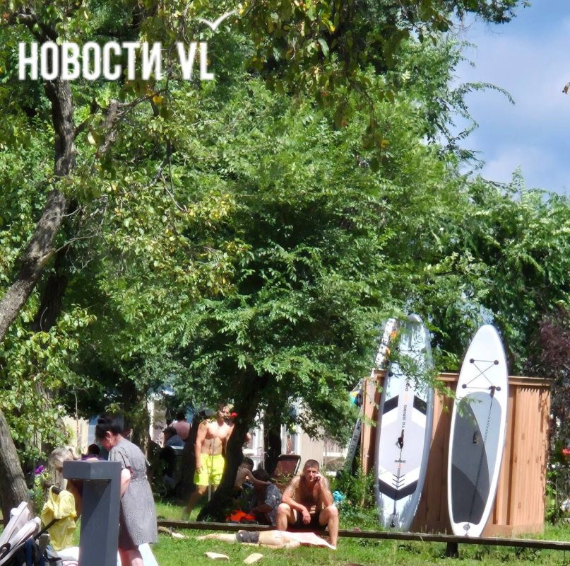 Из воды в парке Лазо на Санаторной очевидцы вынесли на берег тонувшего мужчину