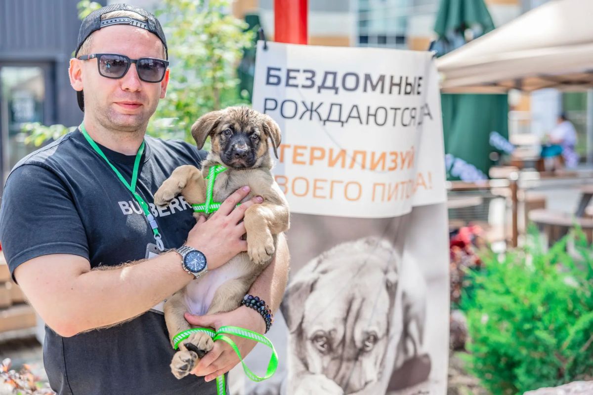 57 животных обрели новые дома по итогам вчерашней уличной выставке-раздаче 57 животных обрели новые дома по итогам вчерашней уличной выставке-раздаче