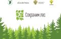 Внесите свой вклад в восстановление лесов после пожаров!