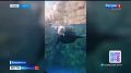 �� ������������ � ���������� ����������� ��������� �������� ������ �� ������ ��� ����������� ������� ���������� ��� �� ����