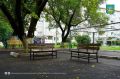 Народные инициативы помогают преображать Приморье