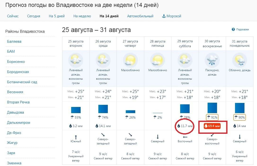 Мощный "тропический" ливень накроет Владивосток Это случится в столице Приморья с вероятностью 91% ...