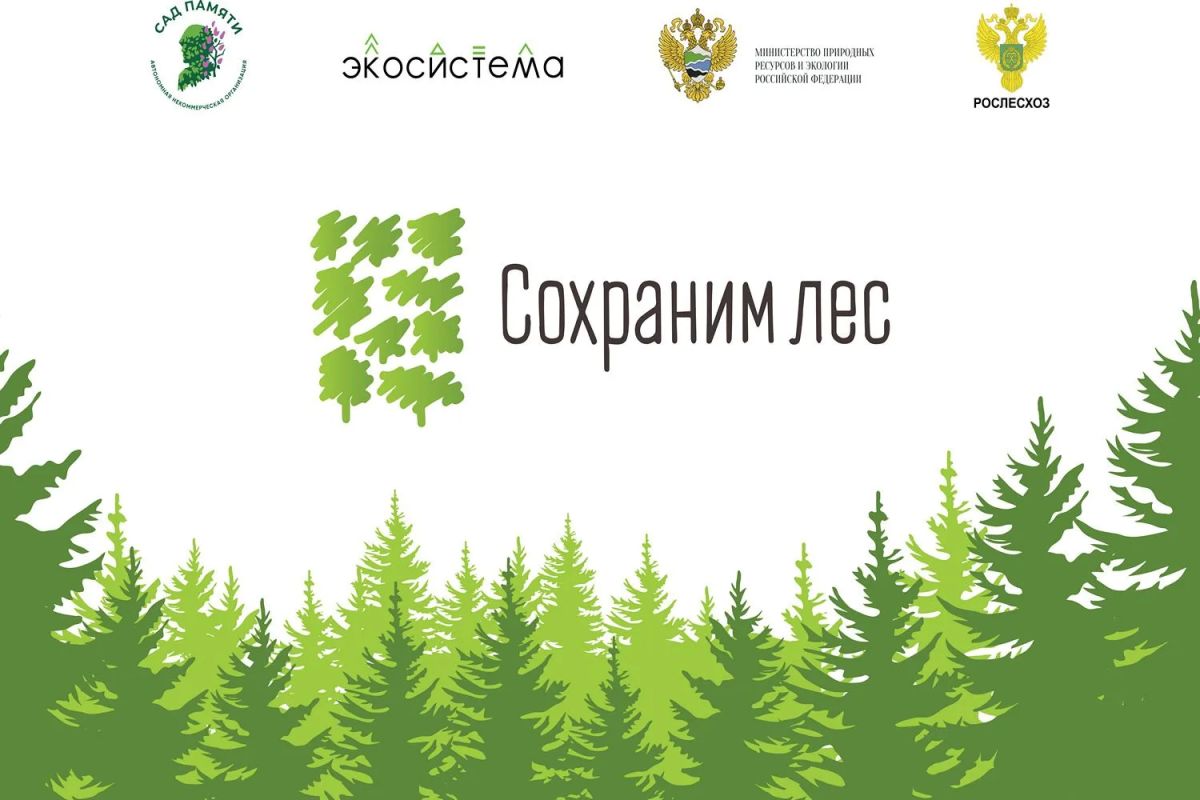 Внеси свой вклад в восстановление лесов после пожаров!